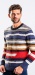 Striped cotton crewneck