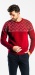 Burgundy patterned crewneck