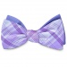 Silk bow tie